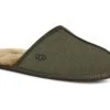 UGG Scuff -All Style Shop 71OG1 qYzAL. AC SR920736
